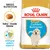 Royal Canin Golden Retriever Puppy
