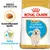 Royal Canin Golden Retriever Puppy Royal Canin Golden Retriever Puppy