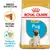 ROYAL CANIN PUPPY Pug, obrázek štěněte mopsíka, text: Granule na míru, Podpora imunitního systému, BREED NUTRITION, zobrazení tvaru granule. ROYAL CANIN PUPPY Pug, obrázek štěněte mopsíka, text: Granule na míru, Podpora imunitního systému, BREED NUTRITION, zobrazení tvaru granule.