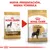 Comparativa de dos envases de Royal Canin Adult Rottweiler, con texto: 'Nueva presentación, misma fórmula'. Imagen muestra cambio de diseño del paquete, no la composición.