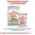 ROYAL CANIN COAT CARE croquettes MINI et sachet mousse ALL SIZES, programme nutrition pour chien, mention Healthy & Shiny Coat, pack 85 g visible, combinaison croquette et mousse.