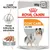 Royal Canin Coat Care All Sizes, 85 g x12. Paté para perros. Texto visible: Pelaje brillante & saludable, Care Nutrition. Royal Canin Coat Care All Sizes, 85 g x12. Paté para perros. Texto visible: Pelaje brillante & saludable, Care Nutrition.