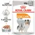 Royal Canin Coat Care All Sizes, 85 g x12. Paté. Text: Frisk & glansande päls, Care Nutrition. Bild på hund och patébitar.