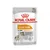 Royal Canin Coat Care 85 g, alimento umido per cani con pelo opaco e ruvido, tutte le taglie. Testo visibile: Healthy & Shiny Coat, Loaf - Mousse, Texture paté.