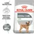 Royal Canin Dental Care Mini hundefoder. Tekst: Reducerer dannelse af tandsten, dokumenteret effekt reducerer dannelse af tandsten med op til 69 %. Billede af lille hund. Royal Canin Dental Care Mini hundefoder. Tekst: Reducerer dannelse af tandsten, dokumenteret effekt reducerer dannelse af tandsten med op til 69 %. Billede af lille hund.