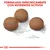 Tres croquetas redondas de pienso junto al texto 'Formulado específicamente con nutrientes activos' y una escala que indica 1 cm de diámetro.