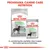 Royal Canin Digestive Care MAXI ração seca e Digestive Care All Sizes alimento húmido para cães. Texto: Programa Canine Care Nutrition. A combinação perfeita das nossas fórmulas secas e húmidas.