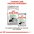 Royal Canin Digestive Care torrfoder Medium och våtfoder All Sizes. Text: Canine Care produktsortiment. En perfekt kombination av våra torr- och våtfoder.