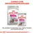 Royal Canin Exigent Trocken- und Feuchtnahrung für Hunde. Perfekte Kombination, 99% bevorzugt. Canine Care Ernährungsprogramm.