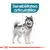 Ilustrație cu un câine și textul „Sensibilitatea articulațiilor” evidențiind zona articulară. Logo Royal Canin vizibil jos.