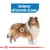 Illustrazione di cane con testo: Tendenza all’aumento di peso. Evidenziata area sul fianco per indicare la localizzazione del problema.