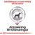 Text: Omvårdnad av din hunds känslighet. Anpassning till förändringar. Illustration av hund i cirkel med pilar.