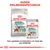 Royal Canin Urinary Care hundefoder, tørfoder MINI og vådfoder ALL SIZES, tekst: Hunde Ernæringsprogram. Den perfekte kombination af vores tør- og vådfoder.