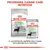 Royal Canin Digestive Care: embalagem de ração seca MINI e saqueta húmida ALL SIZES. Texto visível: 'A combinação perfeita das nossas fórmulas secas e húmidas'.