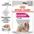 Royal Canin Exigent All Sizes våtfoder paté, 85 g x12. Text: Tillfredsställer aptiten hos kräsna hundar. Bild på långhårig hund och patébitar.