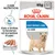Royal Canin Light Weight Care All Sizes, 85g x12. Aiuta a limitare la tendenza ad aumentare di peso. Morbido paté. Immagine di cane piccolo sul fronte confezione.