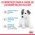 Os benefícios para a saúde do cachorro recém-nascido: desenvolvimento cerebral (DHA), saúde do sistema imunitário (vitaminas), suporte ao microbioma (prebióticos e proteínas digestíveis). Os benefícios para a saúde do cachorro recém-nascido: desenvolvimento cerebral (DHA), saúde do sistema imunitário (vitaminas), suporte ao microbioma (prebióticos e proteínas digestíveis).