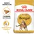 Royal Canin Adult Bengal, croquette sur-mesure, performance digestive, image d’un chat Bengal sur l’emballage. Texte visible : Breed Nutrition.