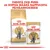 ROYAL CANIN British Shorthair Adult -kuivaruokapakkaus ja märkäruokapussi. Teksti: Yhdistä yksi pussi ja sopiva määrä nappuloita päiväannokseksi.