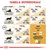 Tabella nutrizionale per gatti: dosi giornaliere di crocchette e umido in base al peso (3–8 kg) e livello di attività. Include opzioni solo crocchette o crocchette più bustina e acqua.
