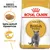 Royal Canin Adult British Shorthair macskatáp csomagolás, szürke brit rövidszőrű macska képe, Testre szabott tápszemcse, Izomtónus feliratokkal. Royal Canin Adult British Shorthair macskatáp csomagolás, szürke brit rövidszőrű macska képe, Testre szabott tápszemcse, Izomtónus feliratokkal.
