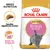Royal Canin Kitten British Shorthair kattenvoer, tekst: Breed Nutrition, Specifiek afgestemde brokken, Spier- en botgroei. Afbeelding van grijze kitten en brokjes. Royal Canin Kitten British Shorthair kattenvoer, tekst: Breed Nutrition, Specifiek afgestemde brokken, Spier- en botgroei. Afbeelding van grijze kitten en brokjes.