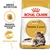 Karma Royal Canin Adult Maine Coon, widoczne opakowanie z kotem, tekst: Specjalnie opracowany krokiet, Zdrowe stawy, BREED NUTRITION. Karma Royal Canin Adult Maine Coon, widoczne opakowanie z kotem, tekst: Specjalnie opracowany krokiet, Zdrowe stawy, BREED NUTRITION.