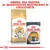ROYAL CANIN Norwegian Forest Cat Adult e ROYAL CANIN Intense Beauty Care 85g. Testo: Abbina una bustina al quantitativo quotidiano di crocchette.