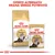 Pachet și plic Royal Canin Adult Persian pentru pisici, 85 g. Text vizibil: „Oferiți alternativ hrana umedă potrivită”. Imagine cu o pisică persană pe ambalaj.