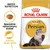 Opakowanie Royal Canin Adult Persian, tekst: Specjalnie opracowany krokiet, Zdrowa długa sierść, ilustracja kota perskiego i kształtu krokieta. Opakowanie Royal Canin Adult Persian, tekst: Specjalnie opracowany krokiet, Zdrowa długa sierść, ilustracja kota perskiego i kształtu krokieta.
