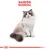 Royal Canin Ragdoll Adult