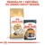 ROYAL CANIN Ragdoll granuly pre mačky a ROYAL CANIN Intense Beauty kapsička 85 g. Text: Primiešajte 1 vrecúško do dennej dávky granúl.