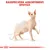 Rasspecifiek assortiment: Sphynx. Afbeelding van een Sphynx kat met schetslijnen voor lichaamsmaten, bedoeld voor rasspecifieke producten.