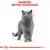 Royal Canin British Shorthair Adult i saus