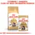 ROYAL CANIN Maine Coon Adult – embalagem de ração seca e saqueta de alimento húmido para gatos. Texto visível: Combine 1 saqueta com os seus croquetes diários.