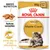 Royal Canin Adult Maine Coon 85 g x12, texture adaptée, santé des os et des articulations, visuel de bouchées et chat Maine Coon sur l’emballage. Texte en anglais : Breed Nutrition. Royal Canin Adult Maine Coon 85 g x12, texture adaptée, santé des os et des articulations, visuel de bouchées et chat Maine Coon sur l’emballage. Texte en anglais : Breed Nutrition.