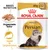 Royal Canin Adult Persian, 85g x 12. Angepasste Textur, speziell für Langhaarkatzen. Breed Nutrition mit Abbildung einer Perserkatze und Futterstücken. Royal Canin Adult Persian, 85g x 12. Angepasste Textur, speziell für Langhaarkatzen. Breed Nutrition mit Abbildung einer Perserkatze und Futterstücken.