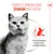 Royal Canin Appetite Control Care AirLift Mousse