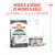 Royal Canin Digestive Care AirLift Mousse