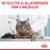 Royal Canin Appetite Control Care aszpikban