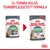 Új termék külső, továbbfejlesztett formula. Royal Canin Digest Sensitive és Digestive macskaeledel 85 g-os tasakban, csomagolásváltás látható.