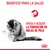 Beneficio para la salud. Ayuda a reducir la formación de bolas de pelo. Imagen de un gato acicalándose y símbolo relacionado con el cuidado felino.