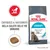ROYAL CANIN URINARY, confezione con gatto, scritta: contribuisce al mantenimento della salute delle vie urinarie. Crocchetta e simbolo gatto con goccia visibili. ROYAL CANIN URINARY, confezione con gatto, scritta: contribuisce al mantenimento della salute delle vie urinarie. Crocchetta e simbolo gatto con goccia visibili.