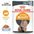 Royal Canin Intense Beauty kattefoder, 85 g x12. Tekst: Care Nutrition, Sund hud & pels, GELÉ. Billede af langhåret kat og foder i gelé.