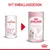 Royal Canin Babycat Milk dåse med gammelt og nyt emballagedesign. Synlig tekst: 'NYT EMBALLAGEDESIGN', 'Babycat milk', 'Lait pour chatons', '0–2 months', 'NET WEIGHT 300g'.