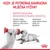 Royal Canin Babycat Milk