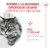 Royal Canin Ageing 11+ Mousse