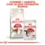 Royal Canin Regular Fit 32 ração seca para gatos e Royal Canin Instinctive saqueta 85 g. Texto: Combine 1 saqueta com os seus croquetes diários.