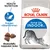 Royal Canin Home Life Indoor 27 -kissanruokapakkaus, tekstit: Health Nutrition, Hajujen vähentäminen, Mukautettu nappulan koko. Kuvassa myös venyttelevä kissa ja kolme nappulaa. Royal Canin Home Life Indoor 27 -kissanruokapakkaus, tekstit: Health Nutrition, Hajujen vähentäminen, Mukautettu nappulan koko. Kuvassa myös venyttelevä kissa ja kolme nappulaa.