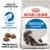 Royal Canin INDOOR Long Hair, omezení tvorby trichobezoárů, přizpůsobená velikost granulí, obrázek dlouhosrsté kočky a tři granule.